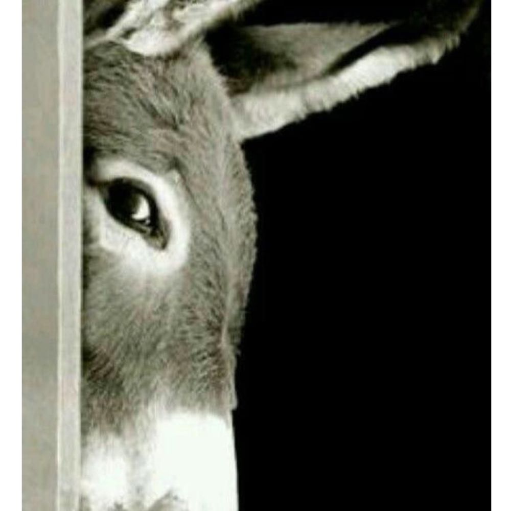 Meet your Posher, Buttons